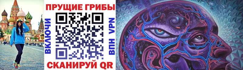 Галлюциногенные грибы мицелий  купить наркоту  hydra зеркало  Воронеж 
