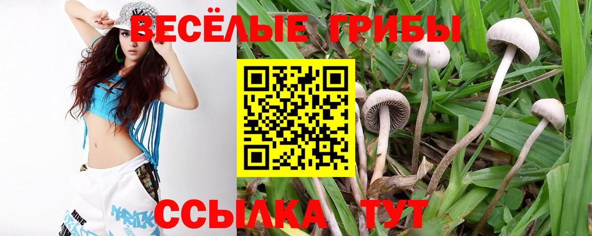 Псилоцибиновые грибы Psilocybine cubensis Воронеж