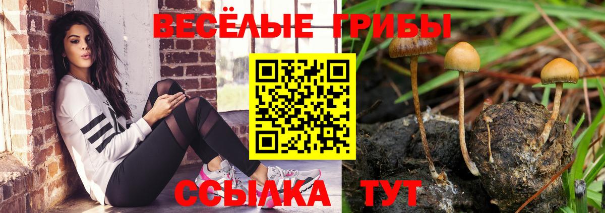 Воронеж  Псилоцибиновые грибы мухоморы  Вход с VPN  Псилоцибиновые грибы GOLDEN TEACHER 