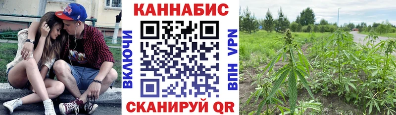 продажа наркотиков  Воронеж  Шишки марихуана OG Kush 
